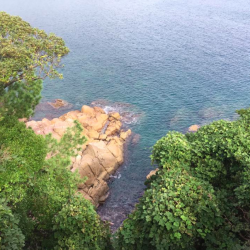 地磯から肝ぱんカワハギとイシダイ